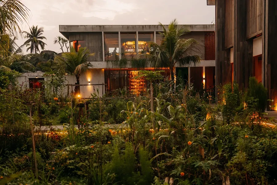 The sustainable architectural exterior of Syrco BASE Restaurant and Bar at twilight, showcasing the illuminated bar and lush edible gardens.