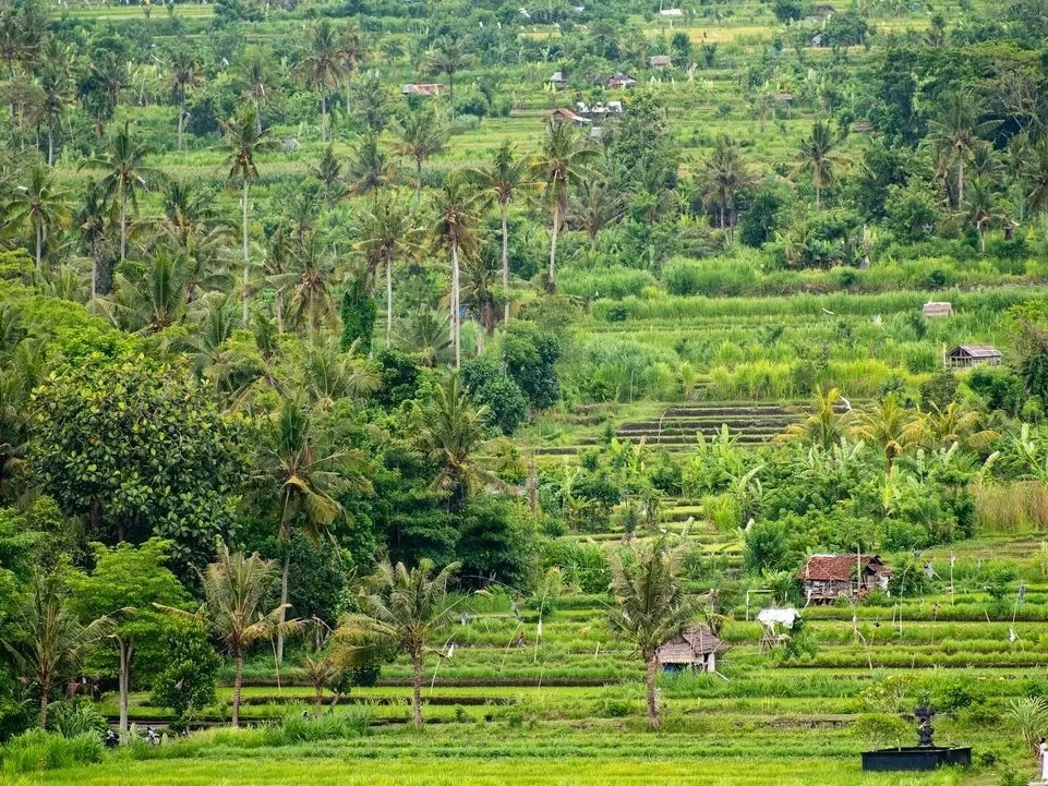 277119706_1017910365504172_731370911136455101_n-1