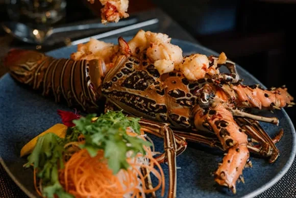 shima-teppanyaki-lobster